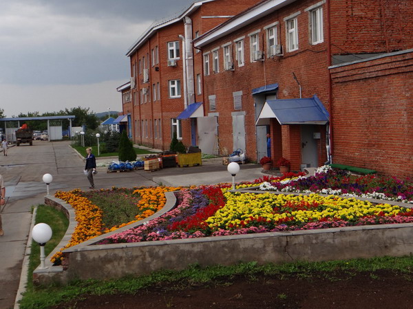 Территория Техновека.JPG